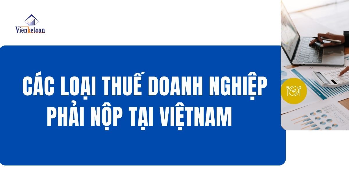 Các loại thuế doanh nghiệp phải nộp tại Việt Nam Các loại thuế doanh nghiệp phải nộp tại Việt Nam
